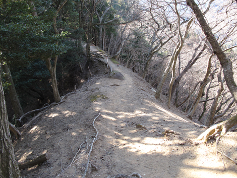 20170126hike (389)